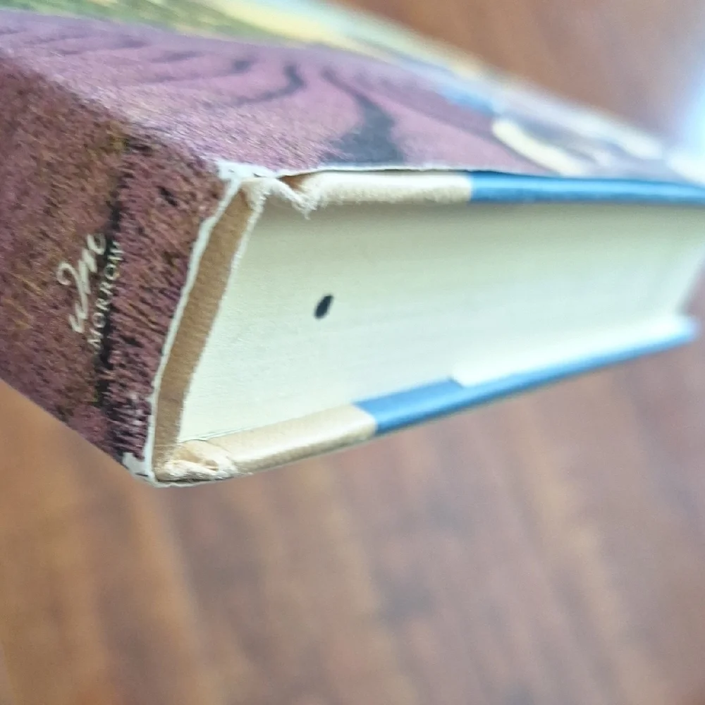 Map of the Heart by Susan Wiggs Hardcover